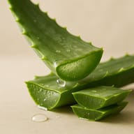 Aloe Barbadensis Leaf Extract