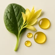 Retinyl Palmitate (Vitamin A)