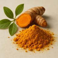Turmeric Extract