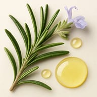 Rosmarinus officinalis (Rosemary) Leaf Oil