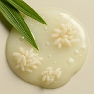 Saccharomyces/Rice Ferment Filtrate Extract