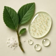 Salicylic Acid