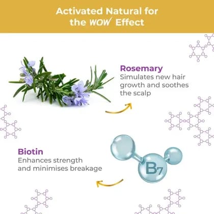 Rosmarinus Officinalis (Rosemary) Leaf Oil