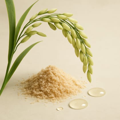 Oryza Sativa (Rice) Bran Water