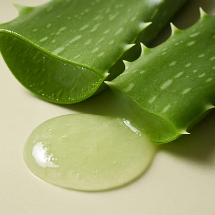 Aloe Barbadensis Leaf Extract