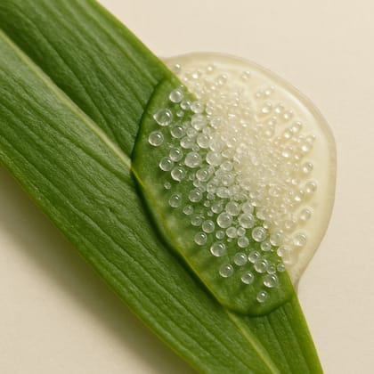 Cellulose Beads