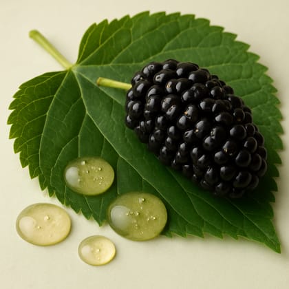 Mulberry Extract